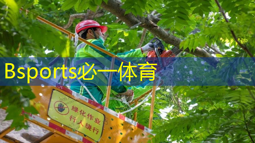 森林里面的网球拍怎么用