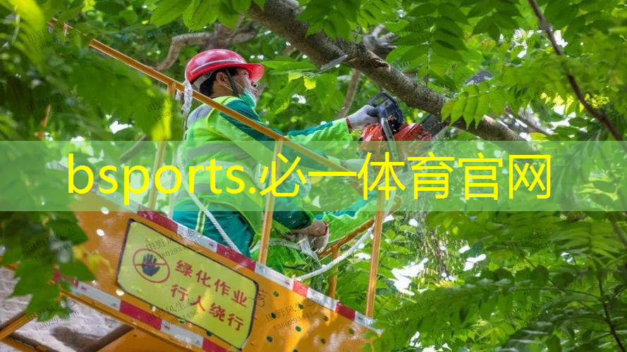 费德勒代言过的网球拍