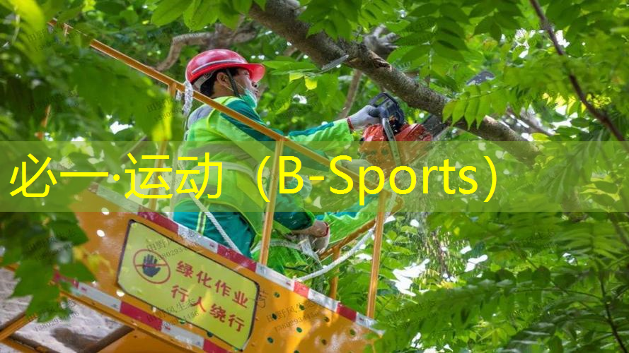 短发网球拍自己怎么选好