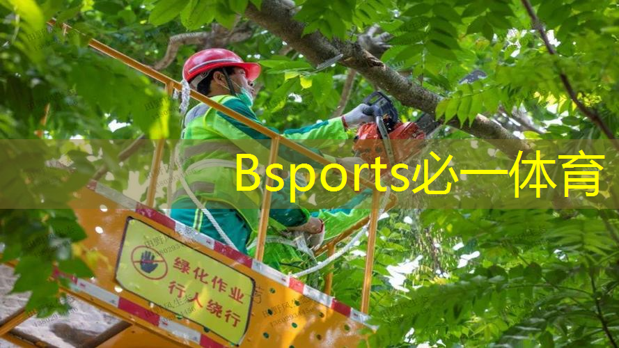 哈尼选择专业网球拍回弹更棒