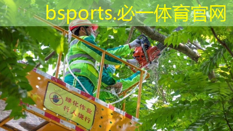 网球拍当乐器用好吗_