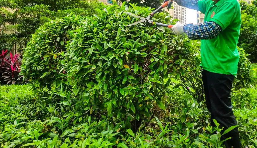 网球拍打自行车轮