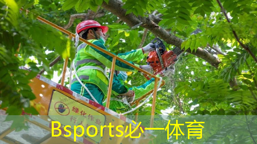 导致网球拍状胎盘的原因