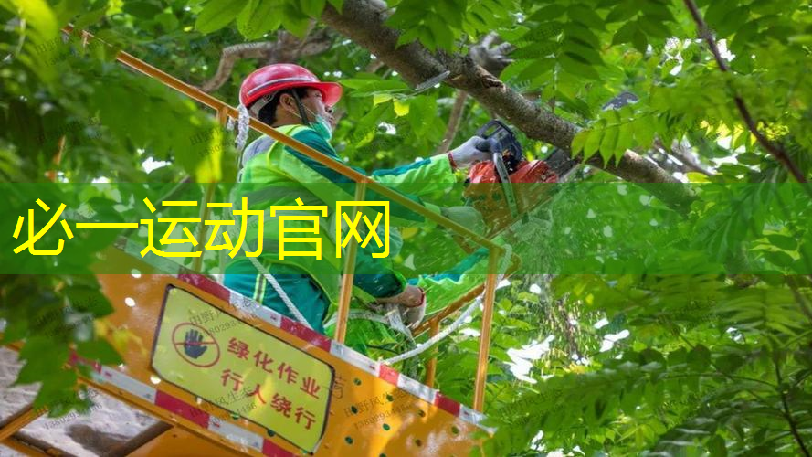 网球拍国行和日版的区别