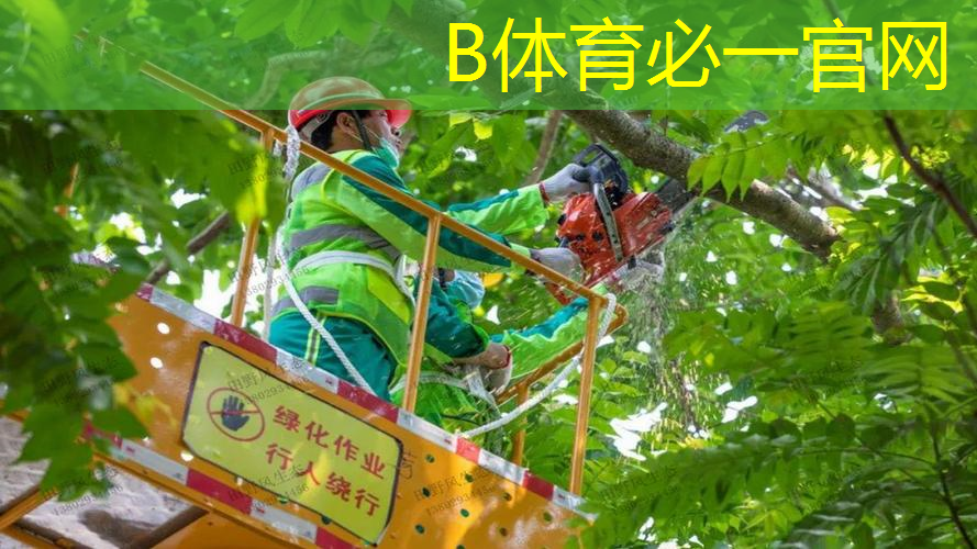 公园健身翻单杠，挑战你的肌肉与平衡能力！