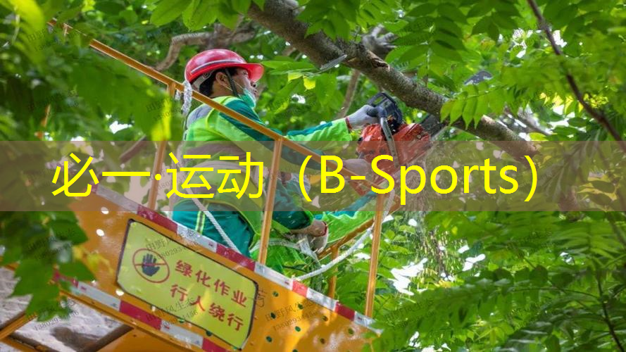 室外健身新选择，单杠锻炼让你充满活力！