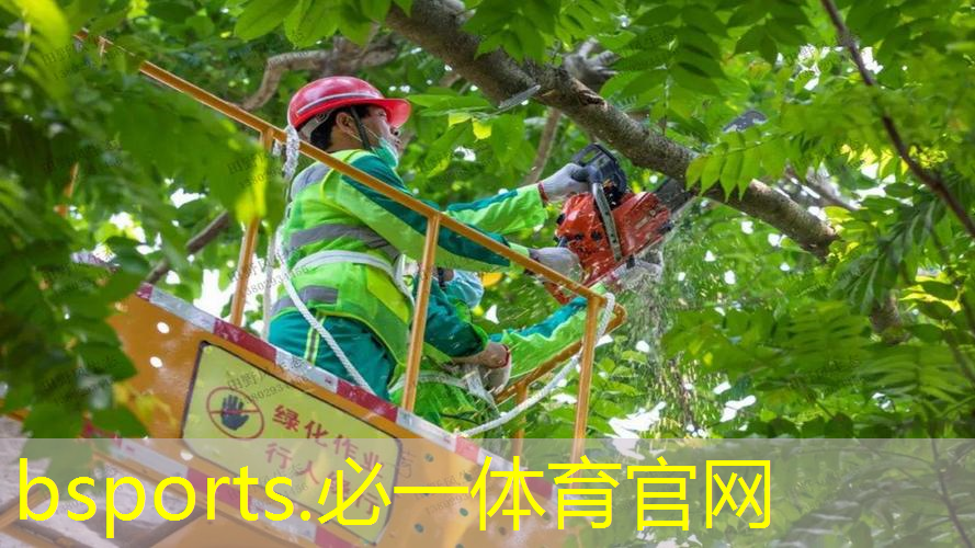 最佳室内运动健身器材