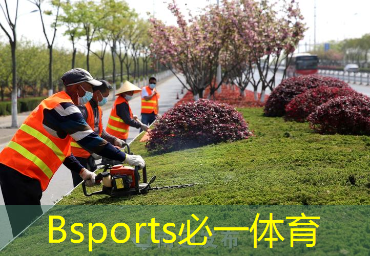 快乐种植，轻松完成草坪绿化步骤！