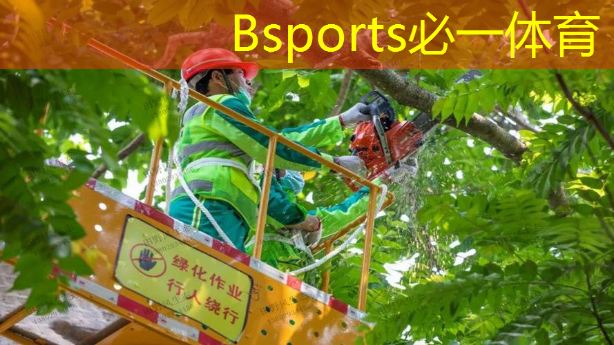 乒乓球台多高才合适