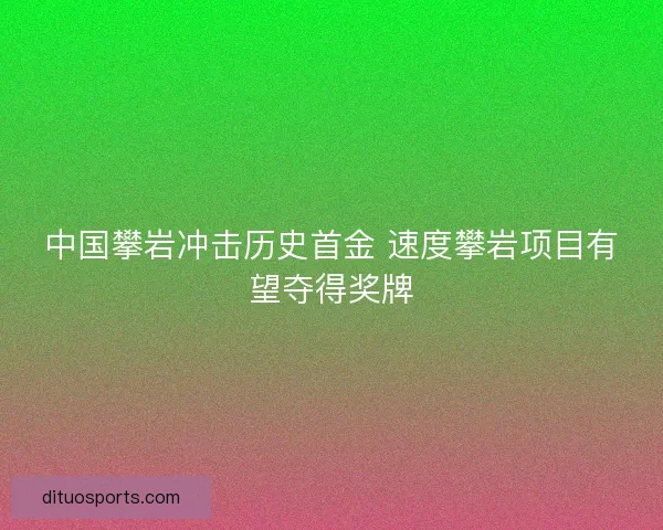 中国攀岩冲击历史首金 速度攀岩项目有望夺得奖牌 中国攀岩冲击历史首金 速度攀岩项目有望夺得奖牌