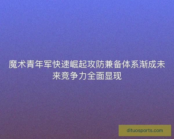 魔术青年军快速崛起攻防兼备体系渐成未来竞争力全面显现 魔术青年军快速崛起攻防兼备体系渐成未来竞争力全面显现